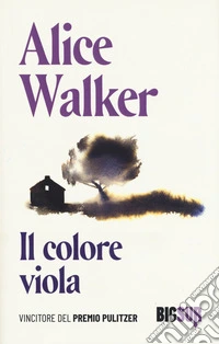 Il colore viola
