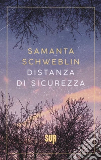 Distanza di sicurezza