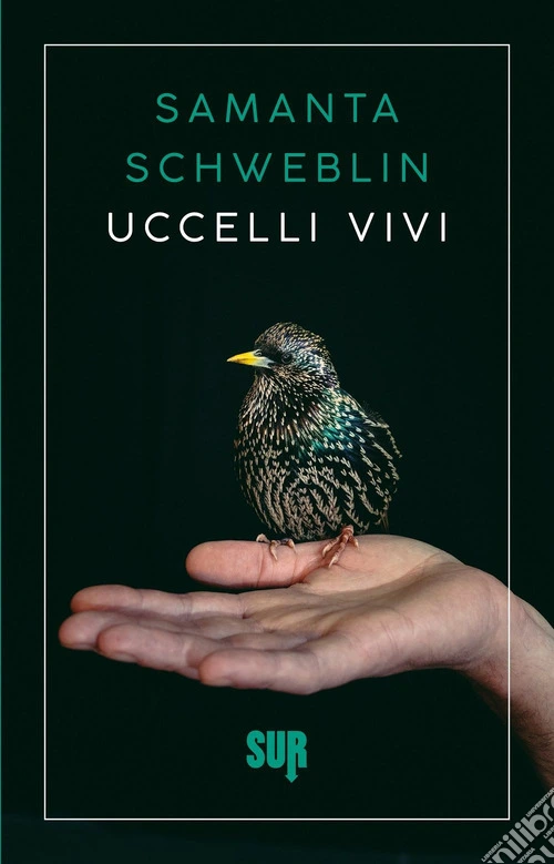 Uccelli vivi