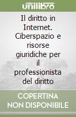 Il diritto in Internet. Ciberspazio e risorse giuridiche per il professionista del diritto