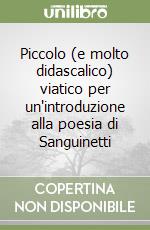 Piccolo (e molto didascalico) viatico per un'introduzione alla poesia di Sanguinetti libro