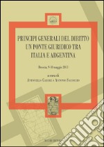 Principi generali del diritto un ponte giuridico tra Italia e Argentina (Brescia 9-10 maggio 2013) libro