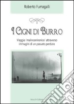 I cigni di burro. Viaggio «malinconico» attraverso immagini di un passato perduto libro