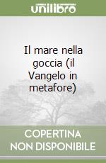 Il mare nella goccia (il Vangelo in metafore) libro