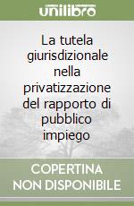 La tutela giurisdizionale nella privatizzazione del rapporto di pubblico impiego libro