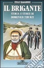 Il brigante. Storia e storie di Domenico Tiburzi libro