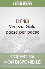 Il Friuli Venezia Giulia paese per paese (3) libro