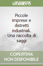 Piccole imprese e distretti industriali. Una raccolta di saggi libro