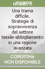 Una trama difficile. Strategie di sopravvivenza del settore tessile-abbigliamento in una regione avanzata libro