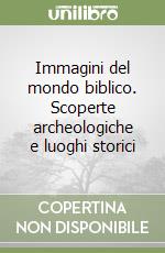 Immagini del mondo biblico. Scoperte archeologiche e luoghi storici libro