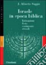 Israele in epoca biblica. Istituzioni, feste, cerimonie, rituali libro