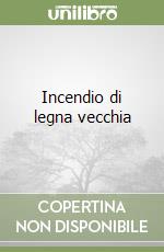 Incendio di legna vecchia libro