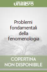 Problemi fondamentali della fenomenologia libro