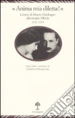 «Anima mia, diletta!». Lettere di Martin Heidegger alla moglie Elfride (1915-1970) libro