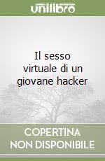 Il sesso virtuale di un giovane hacker