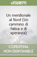 Un meridionale al Nord (Un cammino di fatica e di speranza) libro