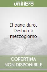 Il pane duro. Destino a mezzogiorno libro