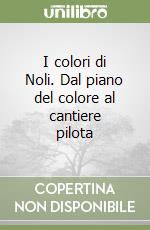 I colori di Noli. Dal piano del colore al cantiere pilota libro