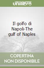 Il golfo di Napoli-The gulf of Naples