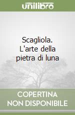 Scagliola. L'arte della pietra di luna libro