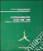 Castelraimondo. Scavi (1988-1990). Vol. 1: Lo scavo