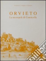 Orvieto. La necropoli di Cannicella. Scavi della Fondazione per il Museo «C. Faina» e dell'Università di Perugia (1977) libro