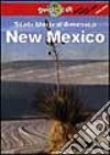 Stati Uniti d'America. New Mexico libro