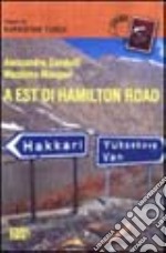 A est di Hamilton Road. Viaggio nel Kurdistan turco