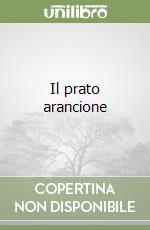 Il prato arancione libro