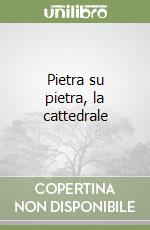 Pietra su pietra, la cattedrale libro