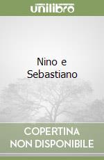 Nino e Sebastiano libro