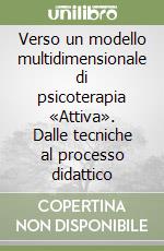 Verso un modello multidimensionale di psicoterapia «Attiva». Dalle tecniche al processo didattico libro