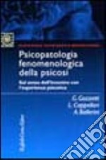 Psicopatologia fenomenologica della psicosi. Sul senso dell'incontro con l'esperienza psicotica