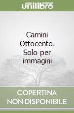 Camini Ottocento. Solo per immagini libro