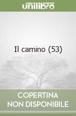 Il camino (53) libro