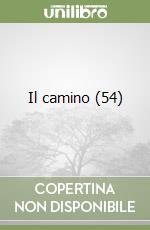 Il camino (54) libro