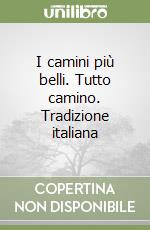 I camini più belli. Tutto camino. Tradizione italiana libro