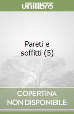 Pareti e soffitti (5) libro