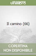 Il camino (66) libro