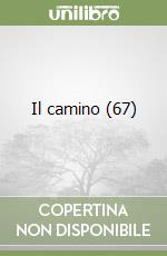 Il camino (67) libro