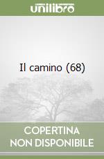 Il camino (68) libro