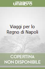 Viaggi per lo Regno di Napoli libro