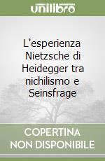 L'esperienza Nietzsche di Heidegger tra nichilismo e Seinsfrage libro