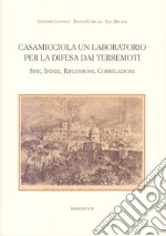 Casamicciola. Un laboratorio per la difesa dai terremoti. Spie, indizi, riflessioni, correlazioni libro