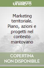 Marketing territoriale. Piano, azioni e progetti nel contesto mantovano libro