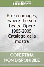 Broken images, where the sun beats. Opere 1985-2005. Catalogo della mostra libro