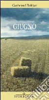 Giugno libro di Bakker Gerbrand