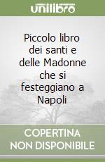 Piccolo libro dei santi e delle Madonne che si festeggiano a Napoli