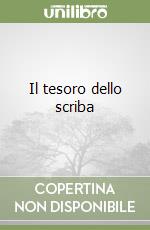 Il tesoro dello scriba libro