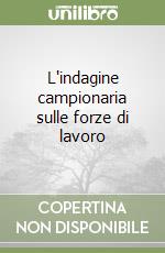 L'indagine campionaria sulle forze di lavoro libro